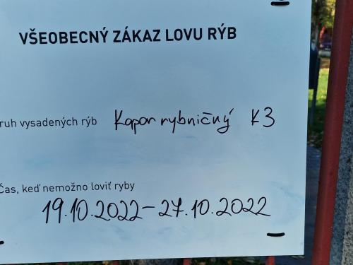Zarybnenie2022-16